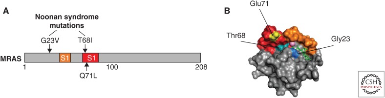 Figure 6.