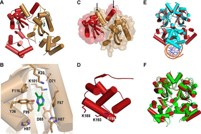 Figure 4.