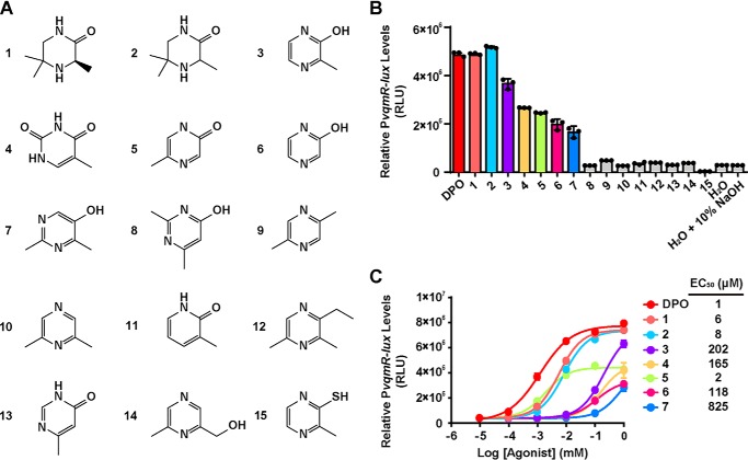 Figure 5.