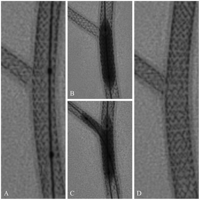 Fig. 7