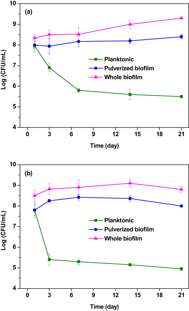 FIGURE 4