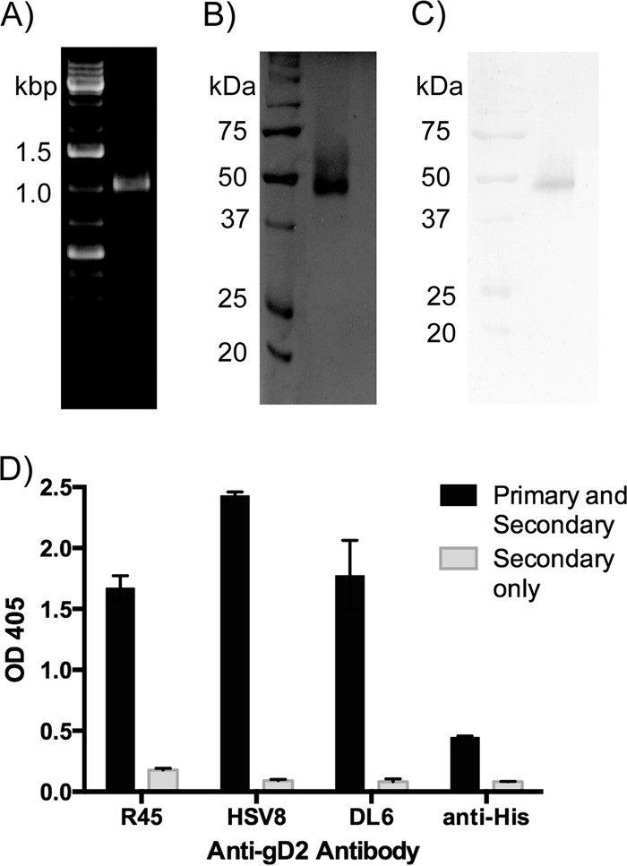 FIG 1