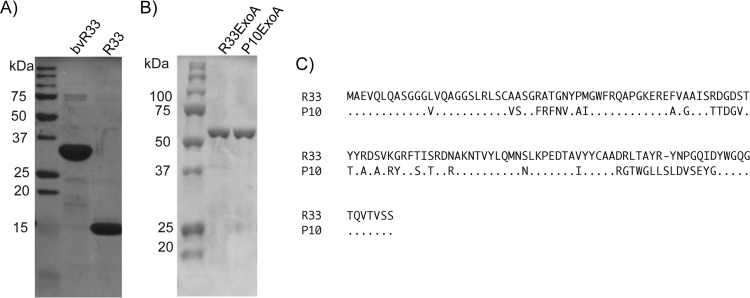 FIG 3