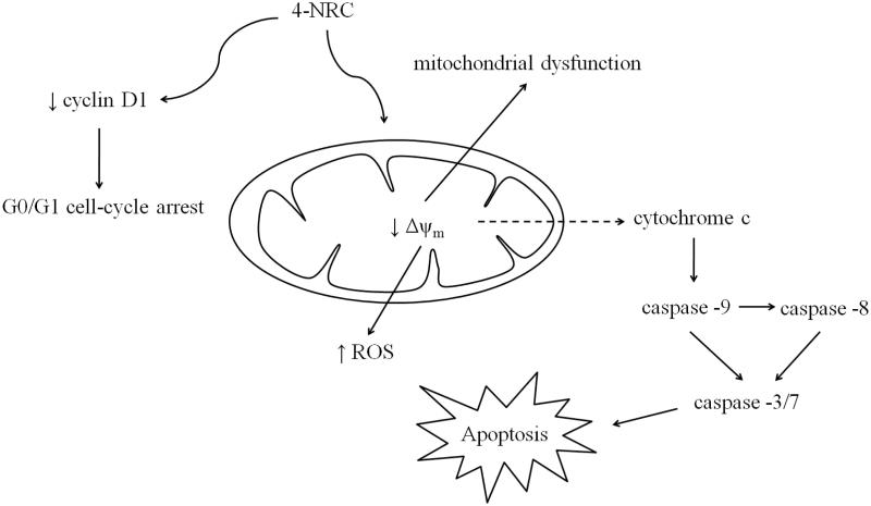 Figure 7.