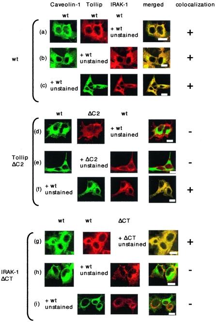 FIG. 4.