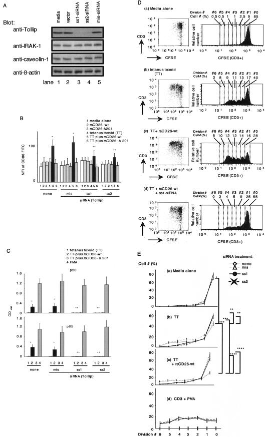 FIG.6.