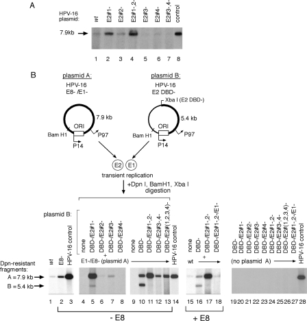 FIG. 6.