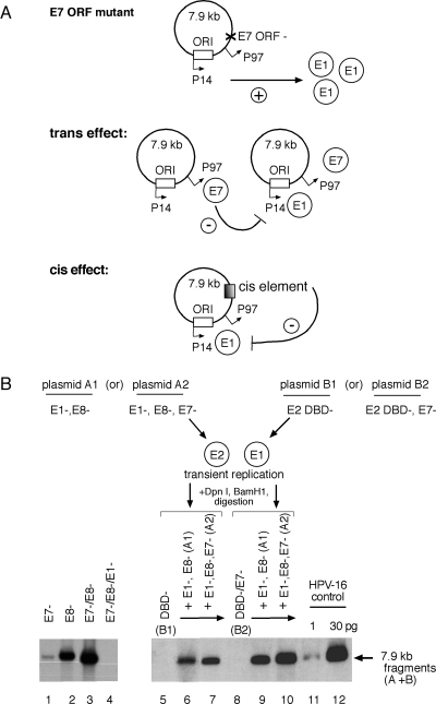 FIG. 7.