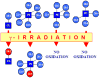 Schema 4