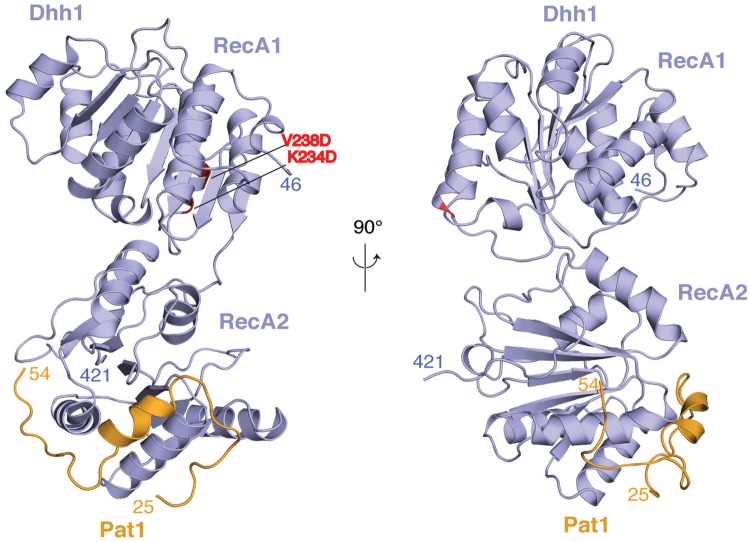 Figure 2.