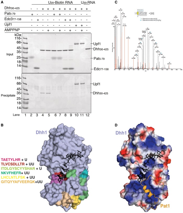 Figure 6.