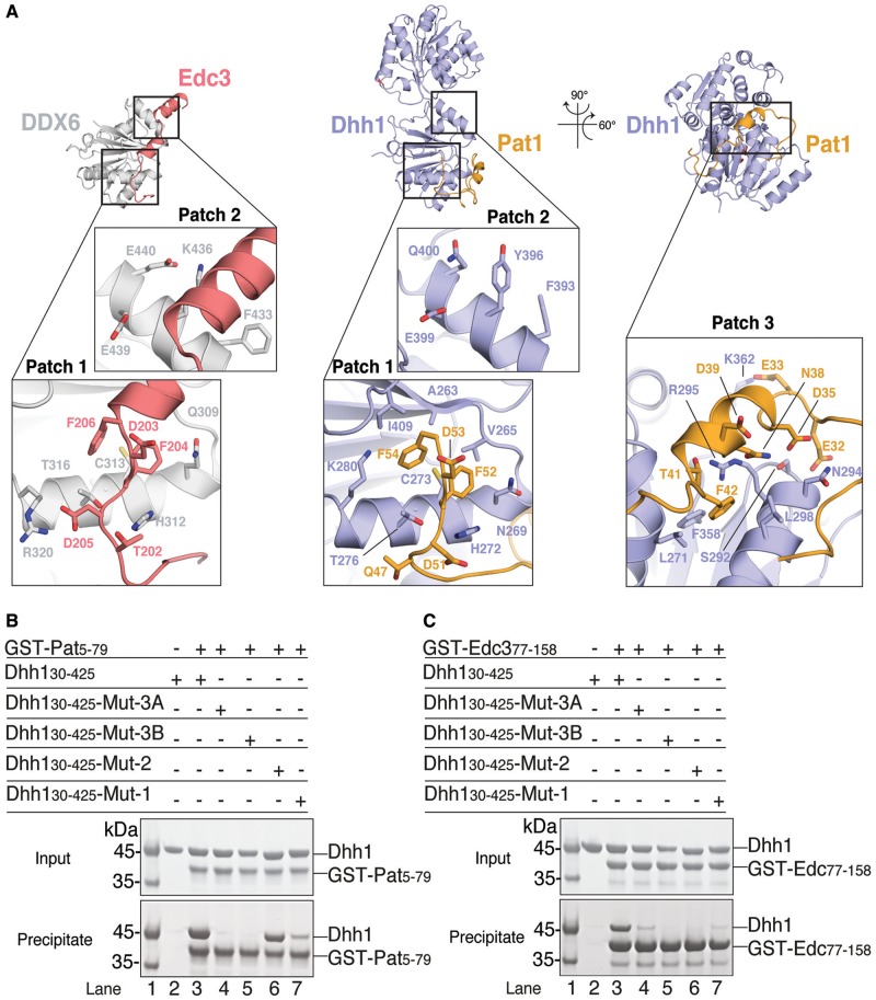 Figure 3.