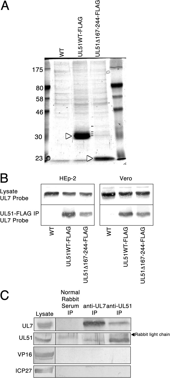 FIG 2