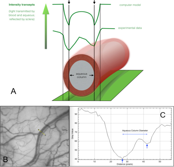 Fig. 9