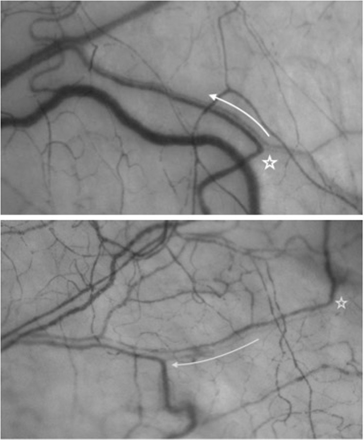 Fig. 8