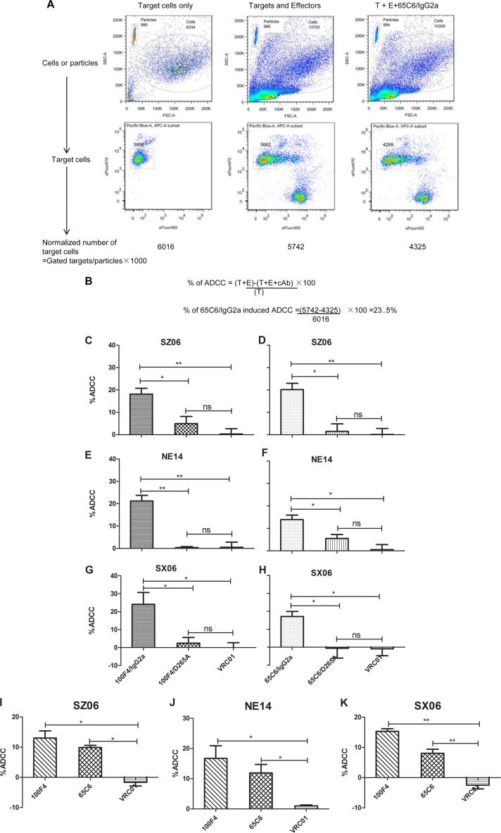 FIG 6