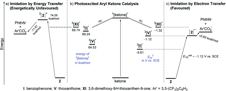 Scheme 3