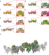 Figure 1—figure supplement 3.