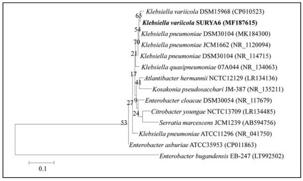 Figure 5