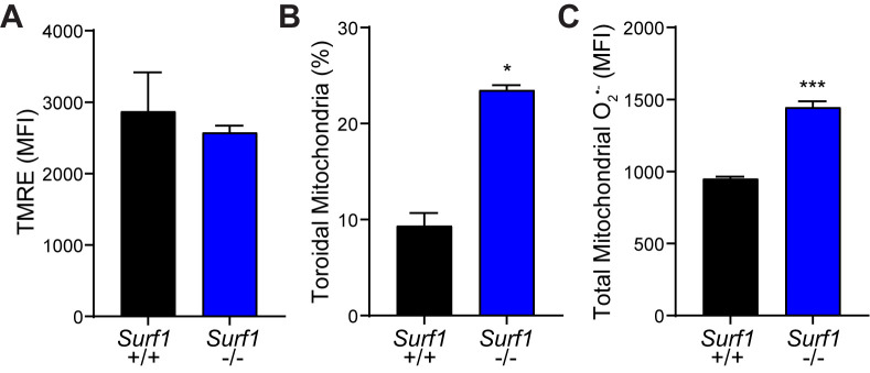 Figure 4—figure supplement 1.