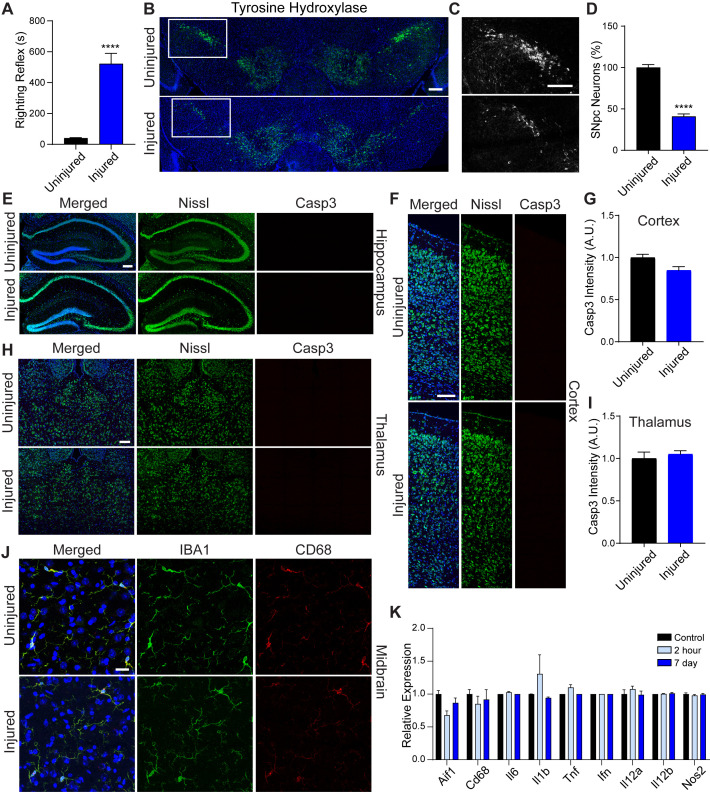 Figure 1—figure supplement 1.