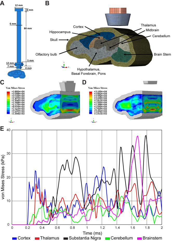 Figure 2—figure supplement 1.