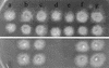 FIG. 3.
