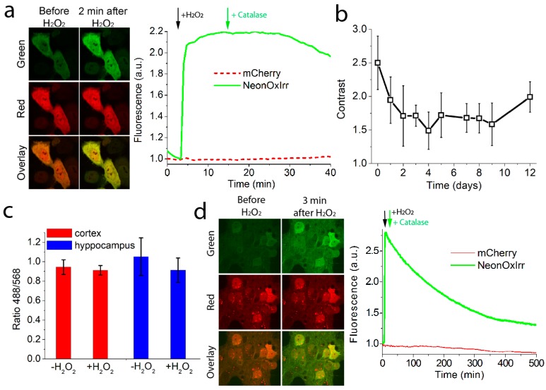 Figure 6