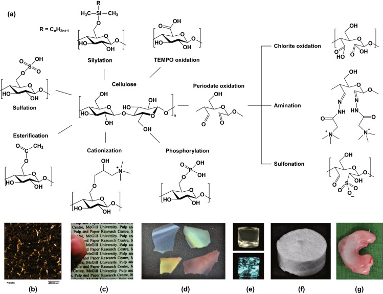 Fig. 2