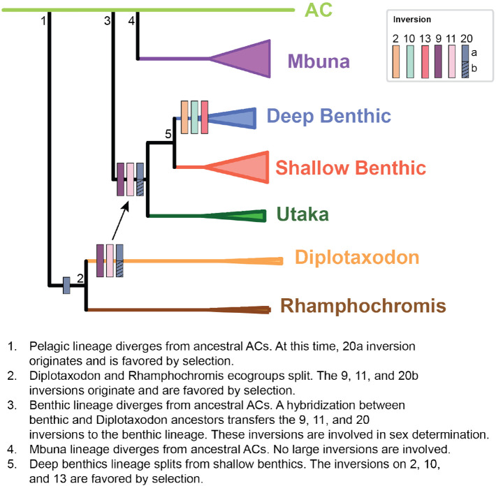 Figure 6.