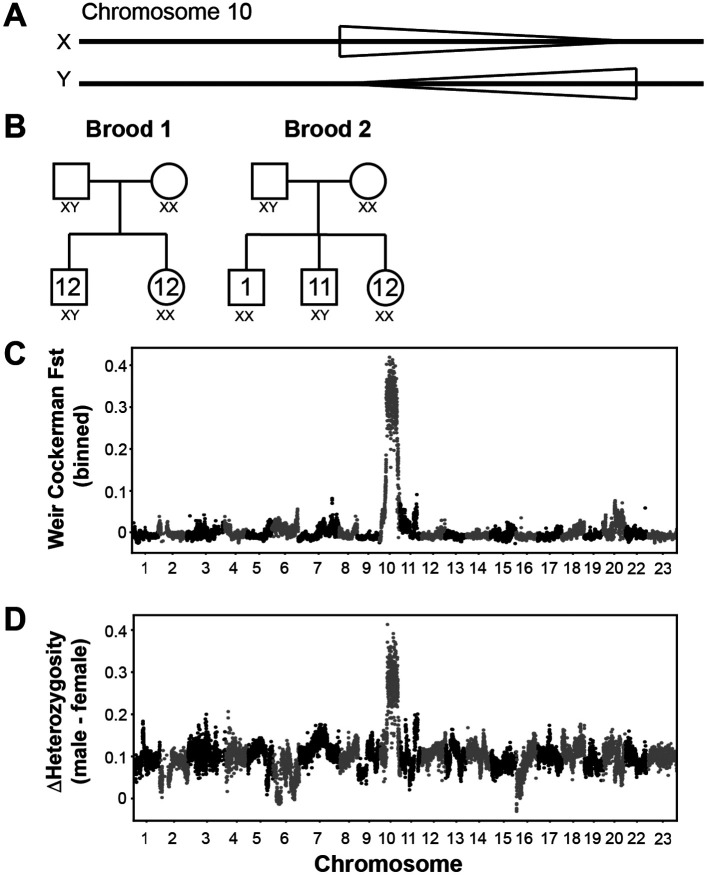 Figure 5.