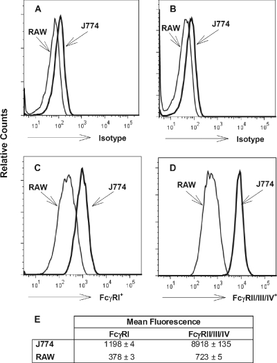 FIG. 2.