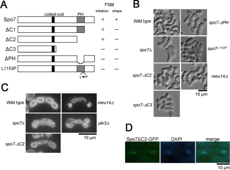 FIGURE 6: