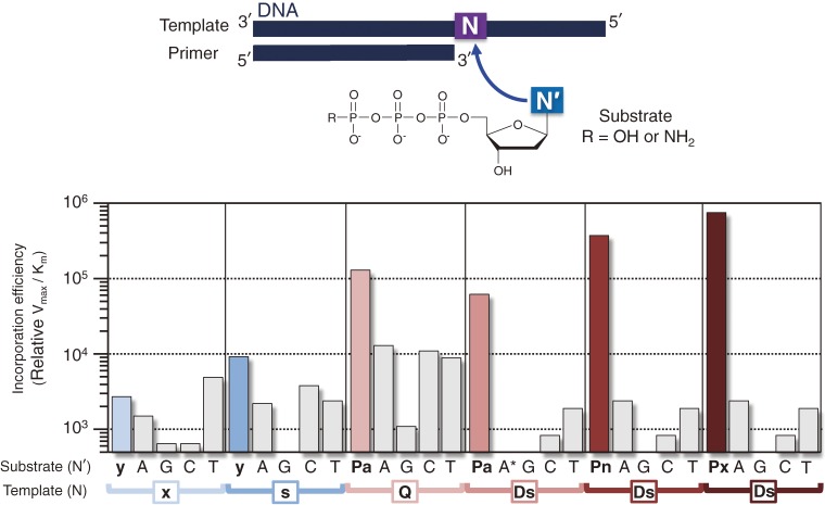 Figure 15. 