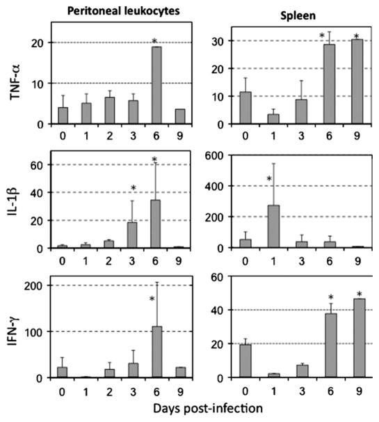 Fig. 1