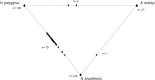 Fig. 8.