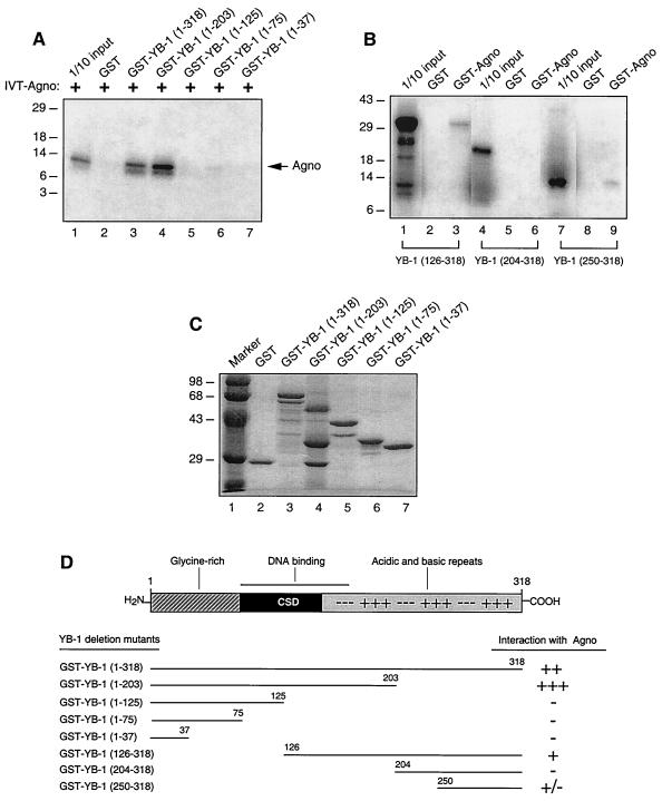 FIG. 7.