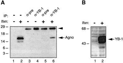 FIG. 5.