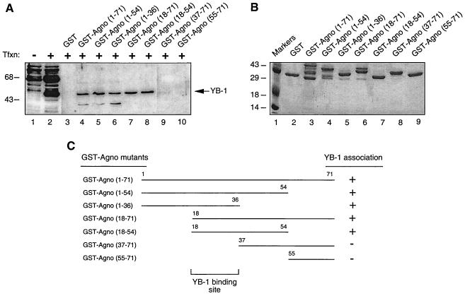 FIG. 6.