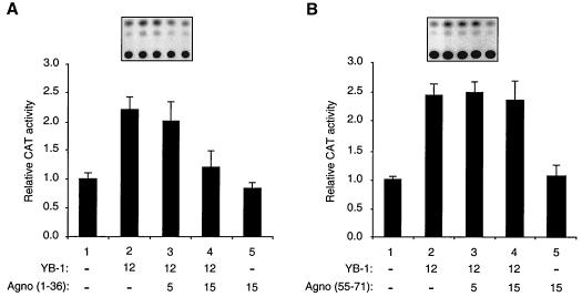 FIG. 8.