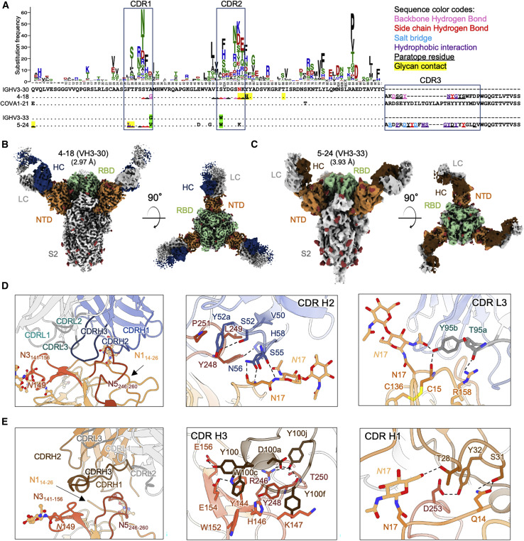 Figure 2