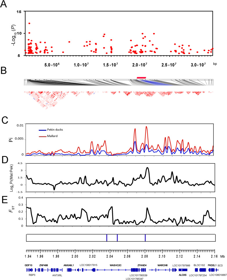 Fig. 4