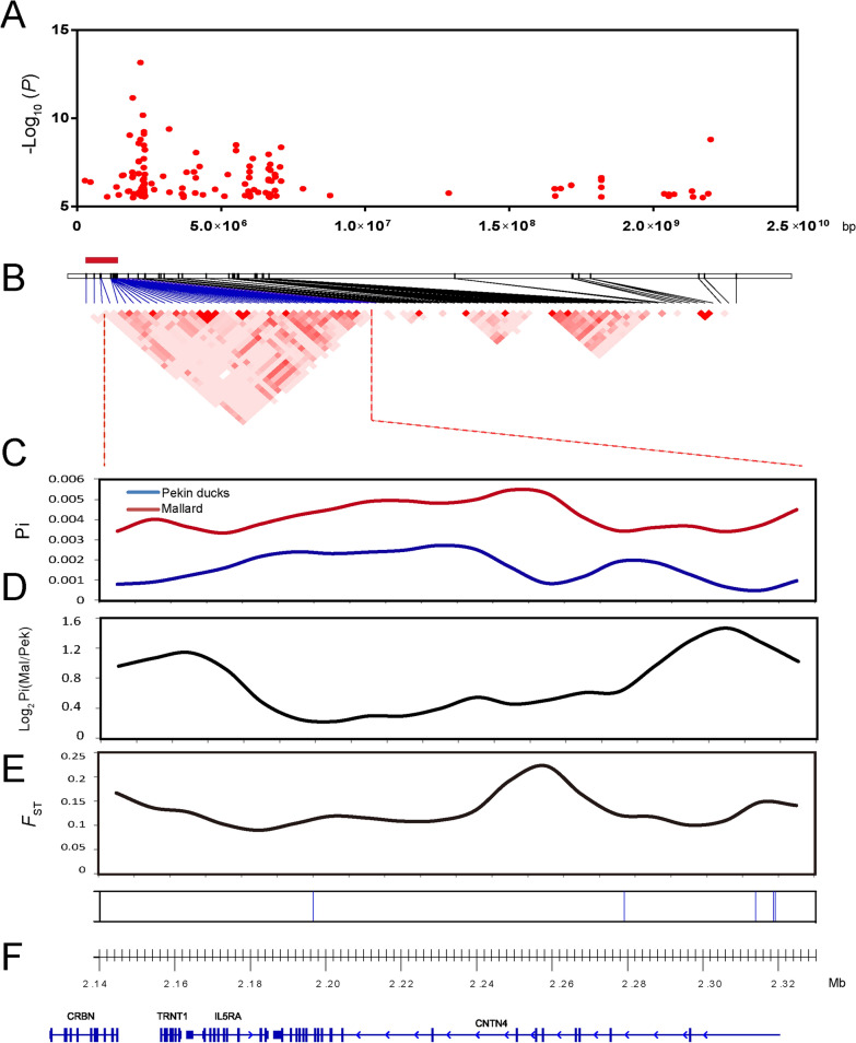 Fig. 2