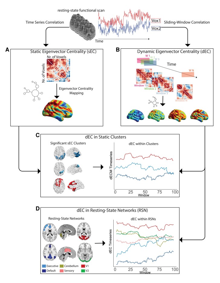 Graphical abstract