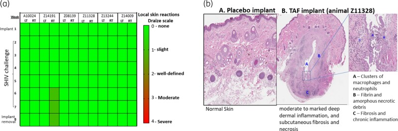 Figure 3.