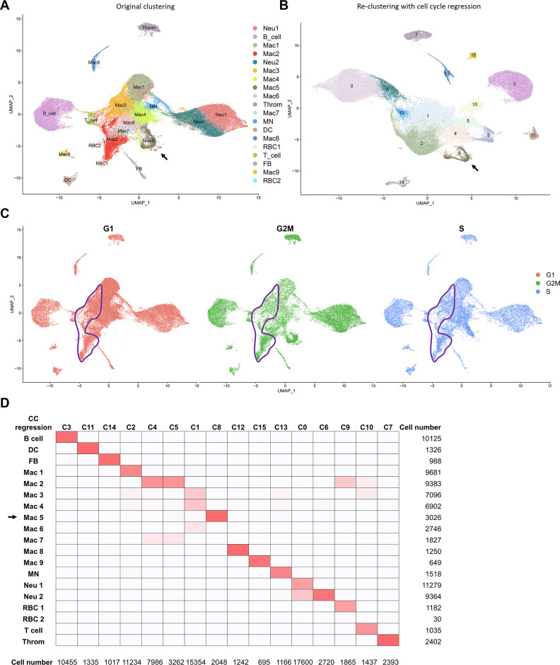 Figure 2—figure supplement 4.