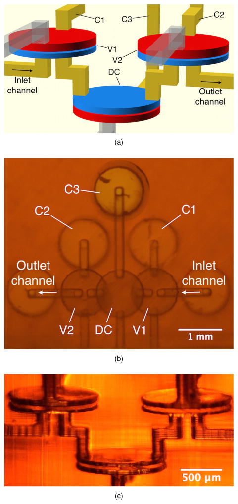 Fig. 2