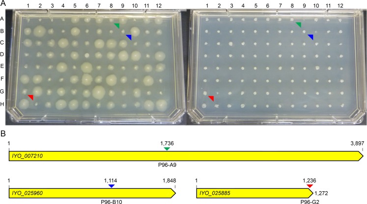 Fig 2