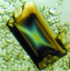 Figure 13