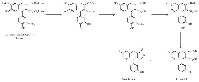 Figure 9